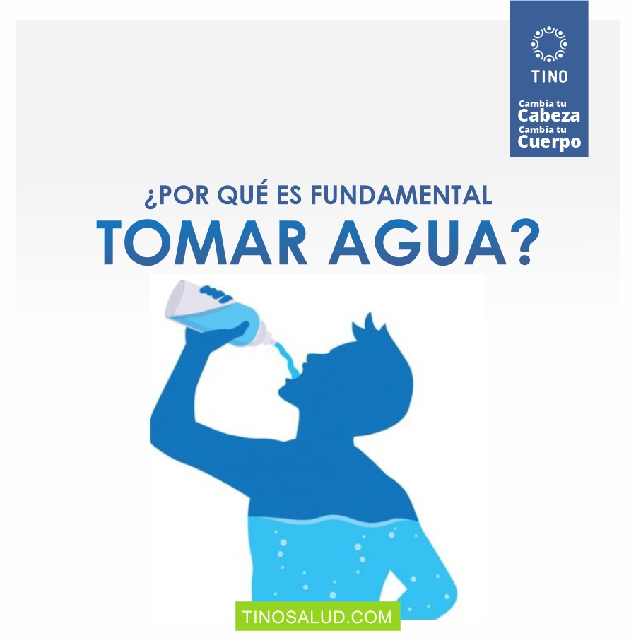 ¿Por qué es fundamental tomar agua? 🧐💧